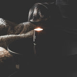 Candle (Clementine & Wood)