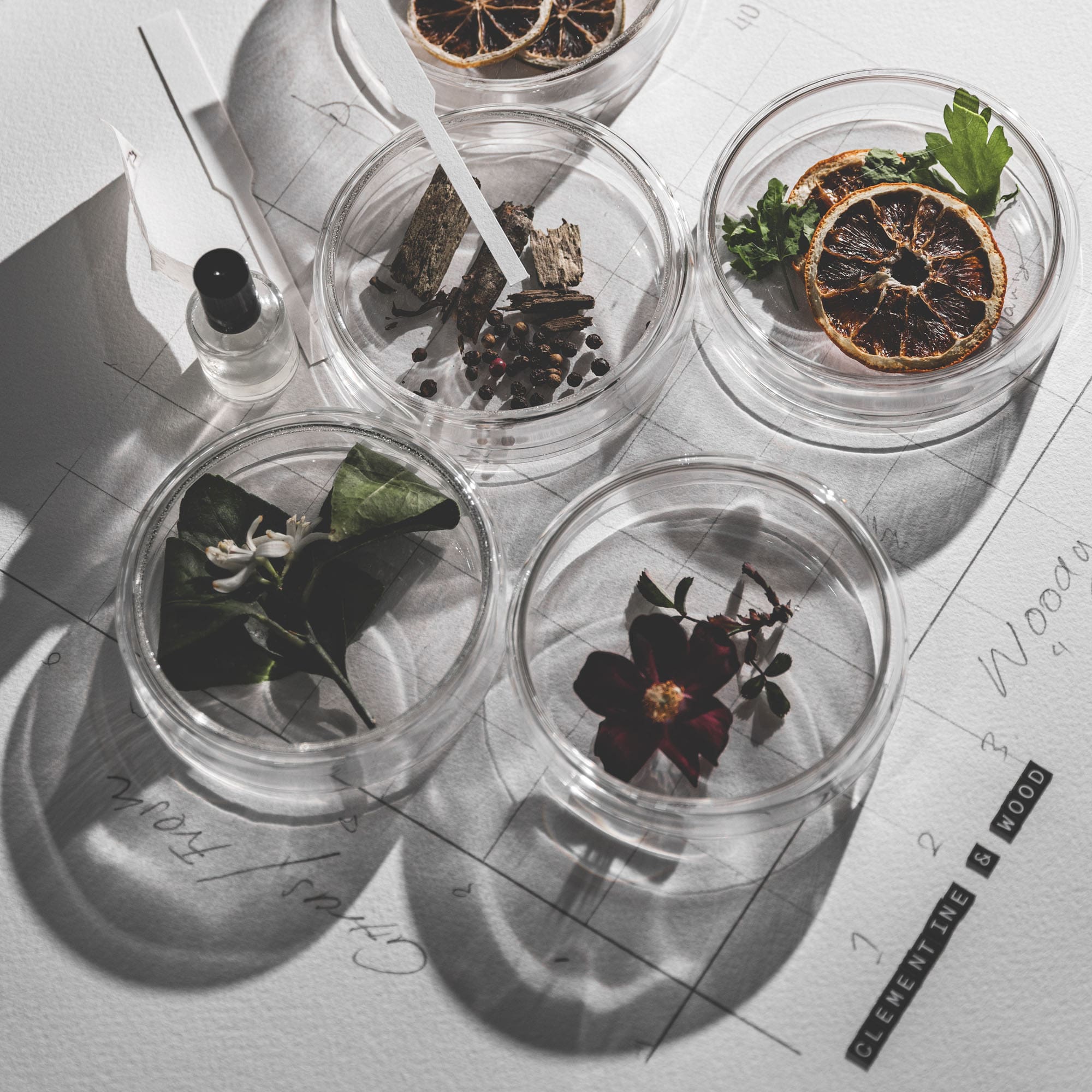 Candle (Clementine & Wood)